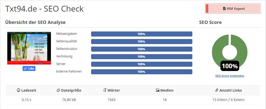 SEO Score 100 Prozent