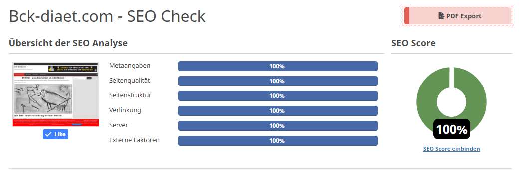 SEO Score 100 Prozent