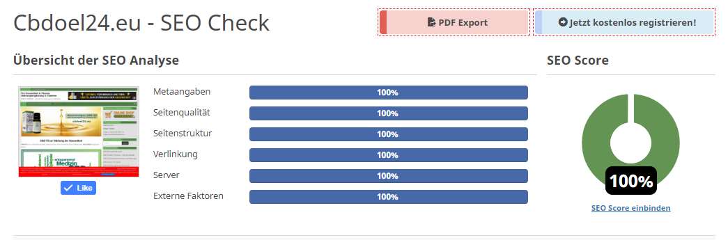 SEO Score 100 Prozent