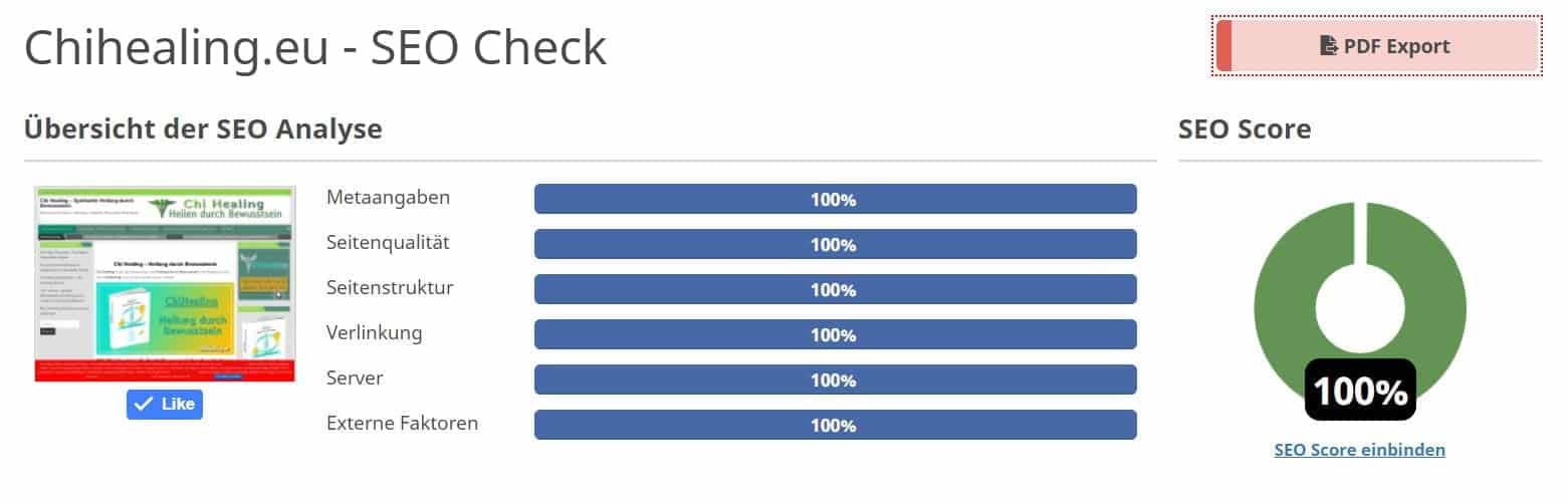 SEO Score 100 Prozent