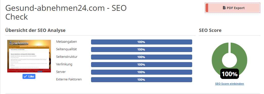 SEO Score 100 Prozent