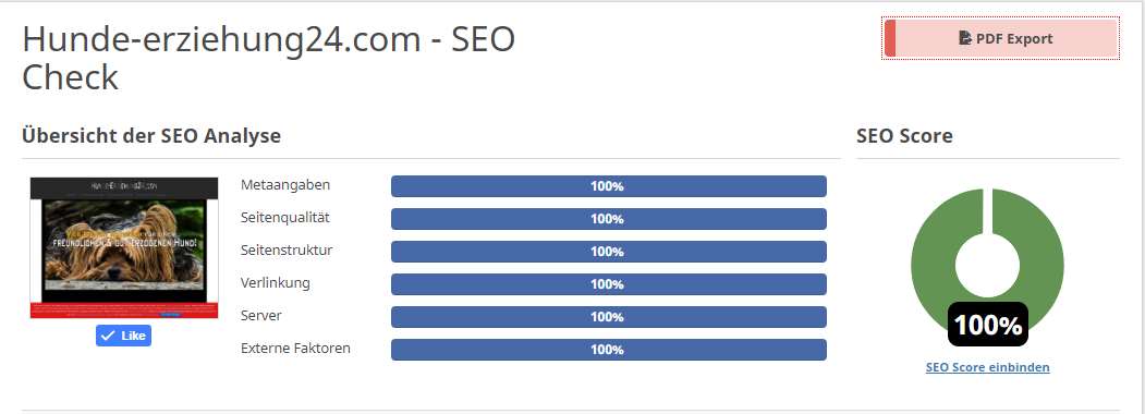 SEO Score 100 Prozent