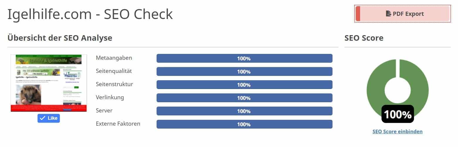 SEO Score 100 Prozent