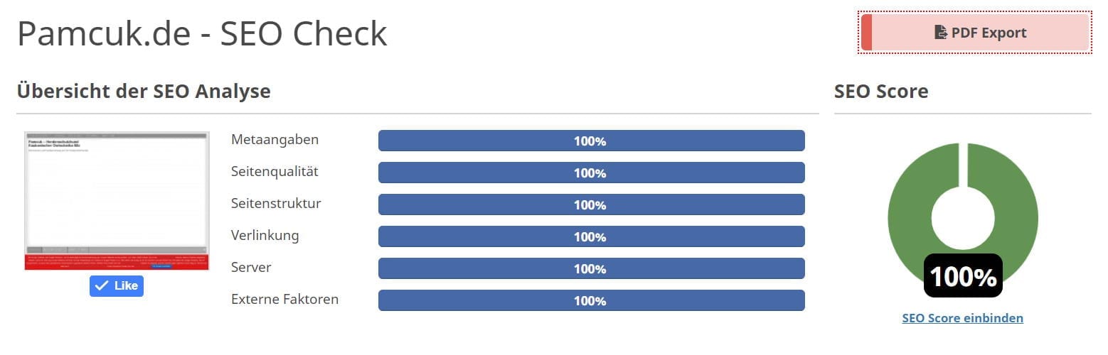 SEO Score 100 Prozent
