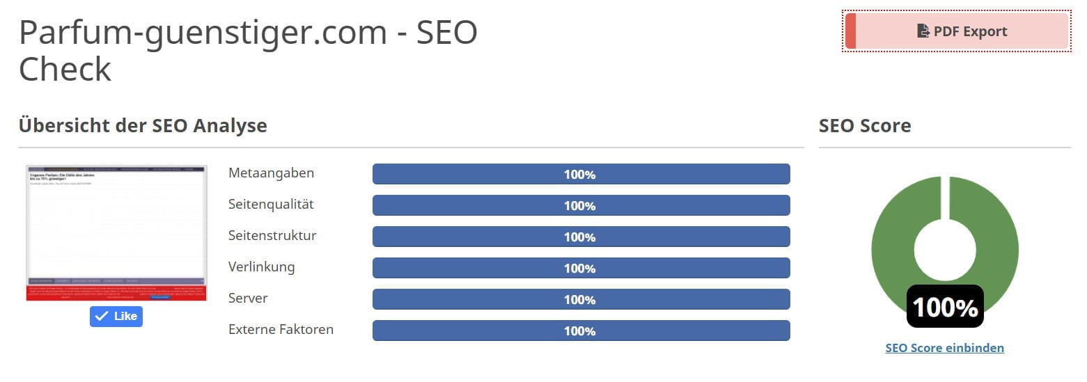 SEO Score 100 Prozent