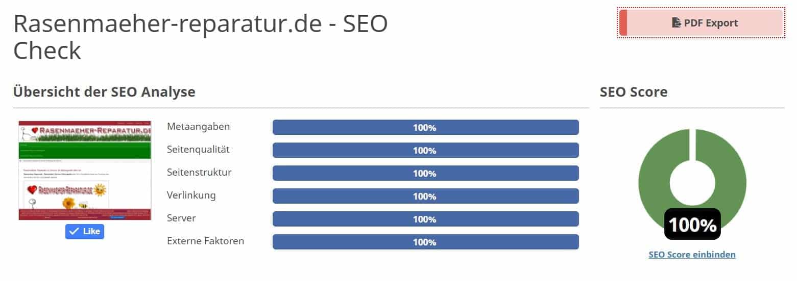 SEO Score 100 Prozent