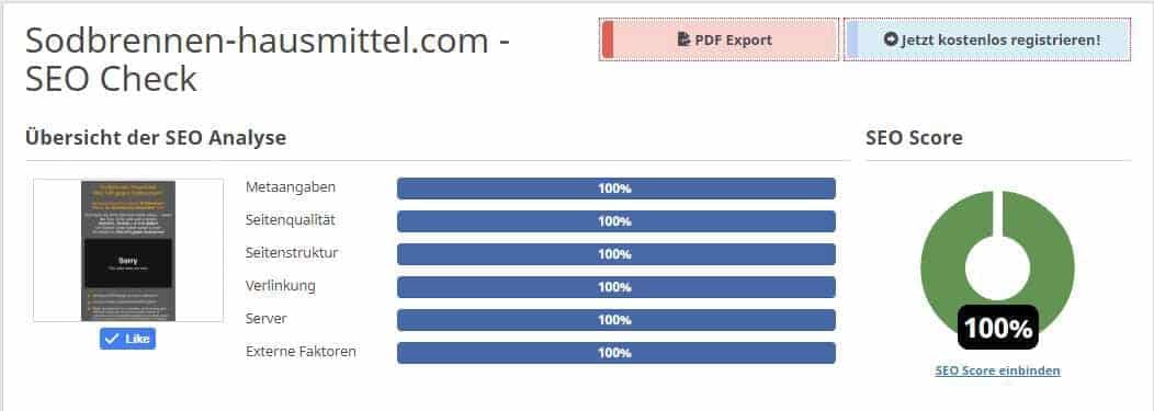 SEO Score 100 Prozent