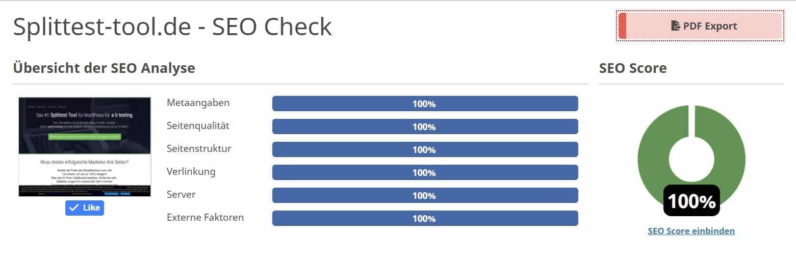 SEO Score 100 Prozent