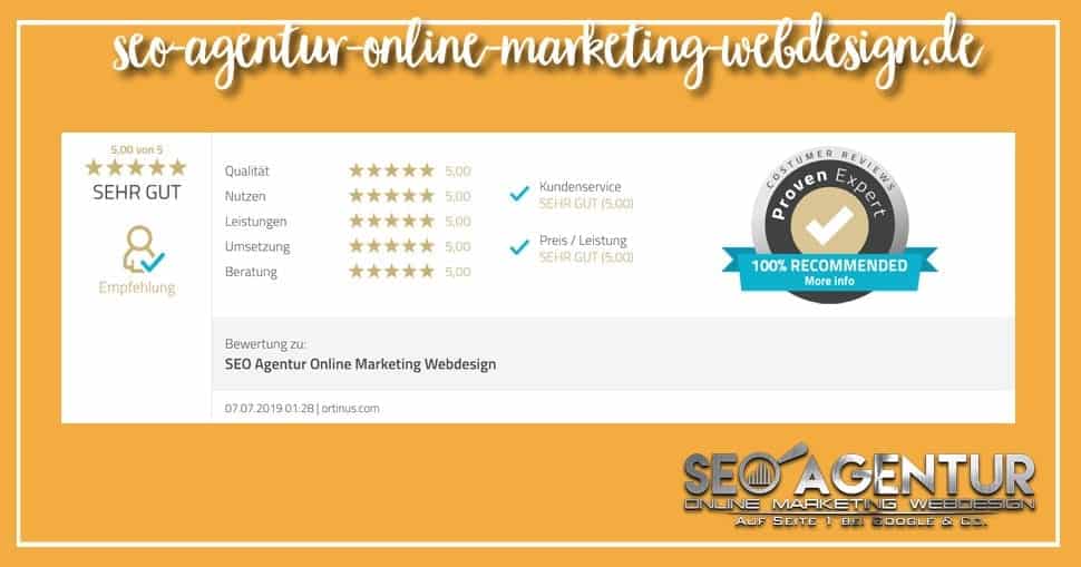 SEO Testimonial ortinus