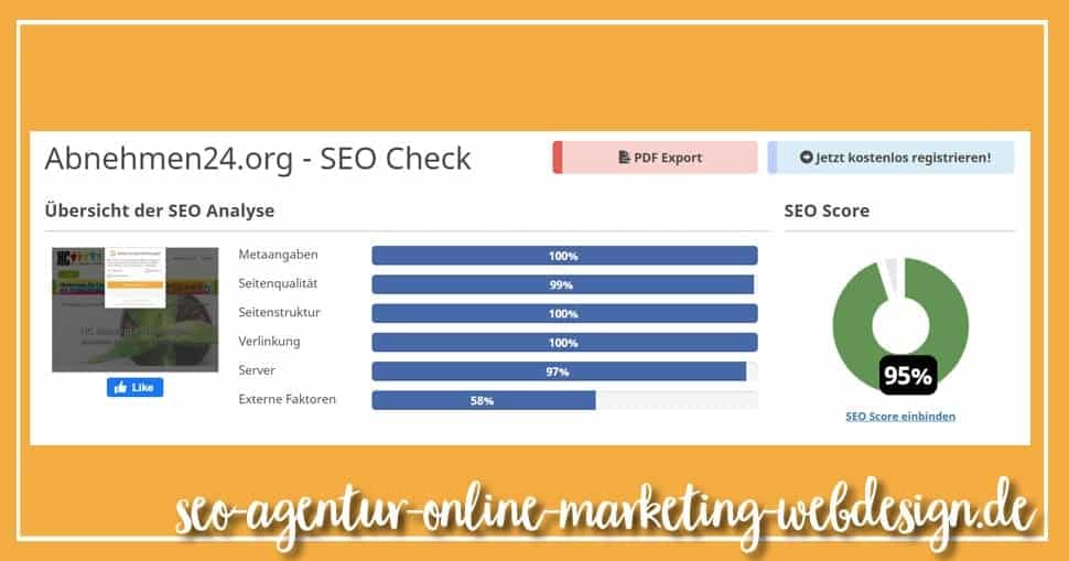 Case Study SEO Check