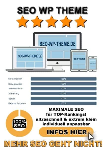 WordPress SEO Theme