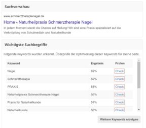2023-04-14 13_08_35-schmerztherapienagel.de _ SEO Bewertung