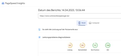 2023-04-14 13_14_00-PageSpeed Insights