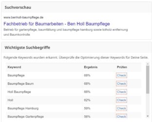 2023-04-24 13_55_56-benholl-baumpflege.de _ SEO Bewertung