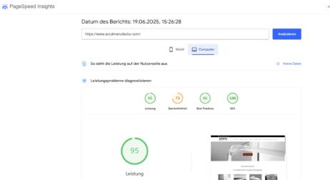 2025-06-19 15_26_59-PageSpeed Insights